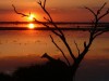 Claudia Baro aus Oftersheim reiste im Mai 2012 nach Botswana und brachte diese Aufnahme eines Sonnenuntergangs im Chobe Nationalpark mit. <br>© Claudia Baro
