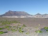 Andreas Braun schickte uns ein seltsam anmutendes Foto, das am Milnerton Beach vor der Kulisse des Tafelberges entstand. Der Leser vermutet, dass es sich dabei um Samen von  
Algen handelt, die an den Strand gespült wurden.<br>© Andreas Braun